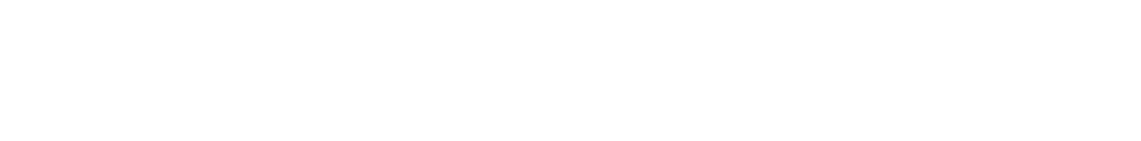 Vehicle Vision Logo